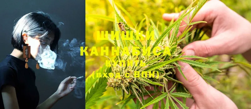 MEGA зеркало  Егорьевск  МАРИХУАНА SATIVA & INDICA  как найти закладки 